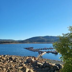 Meet your Posher, Racheal